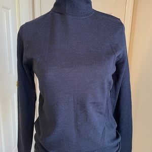 Banana Republic Blue Merino Wool Turtleneck Sweater Size S